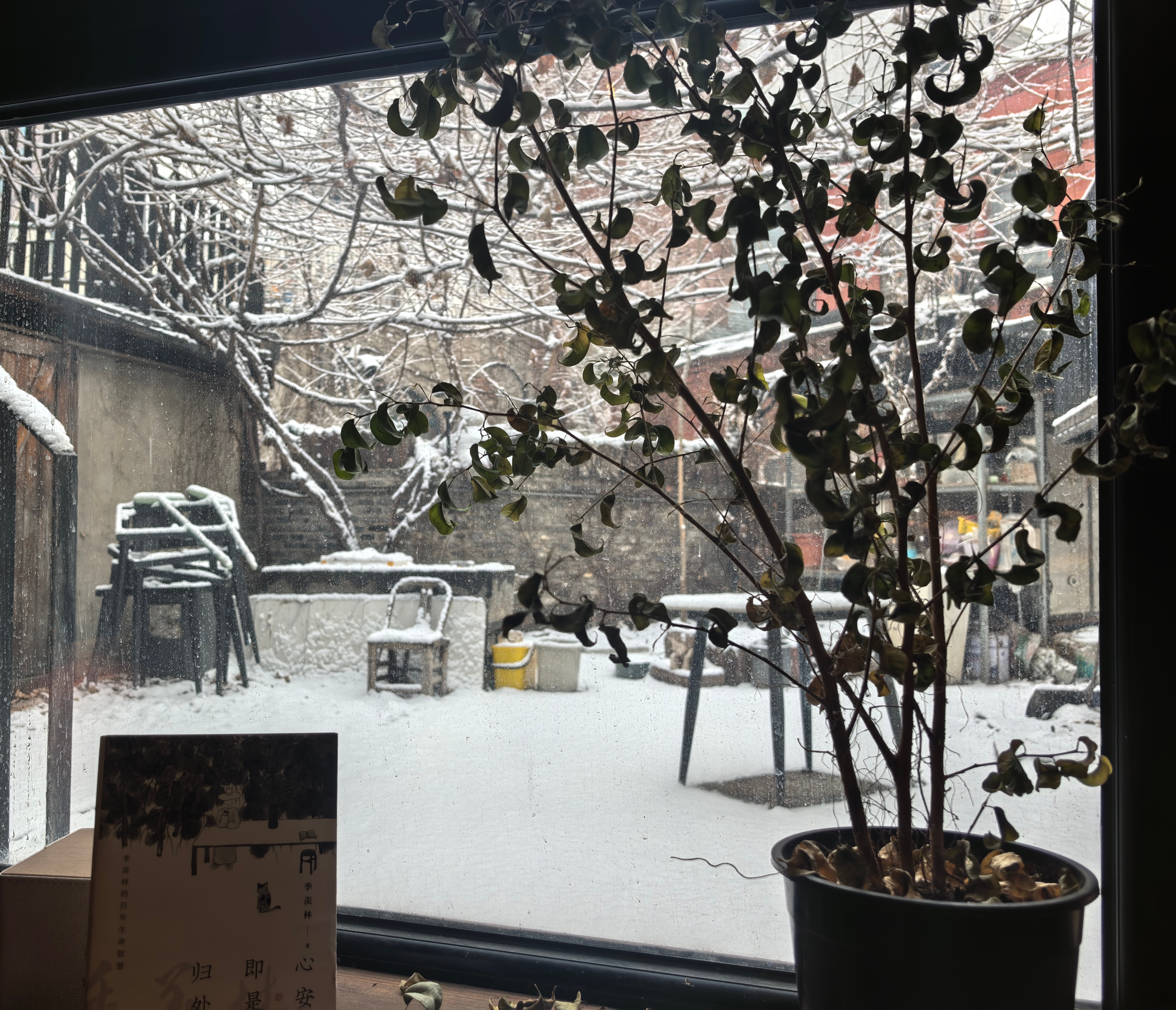 雪落，心安，归处是家。祝大家元宵节快乐～ 沈阳·叛逆咖啡