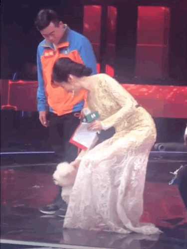 周涛老师节目中与小狗狗互动的瞬间，真的美成一副画了！周涛 周涛综艺首秀
