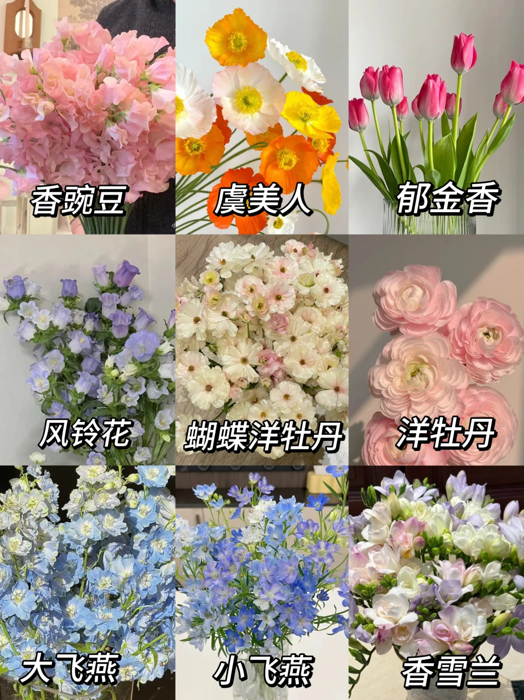 冬天千万不要养这些花啊！！花期长的看到腻