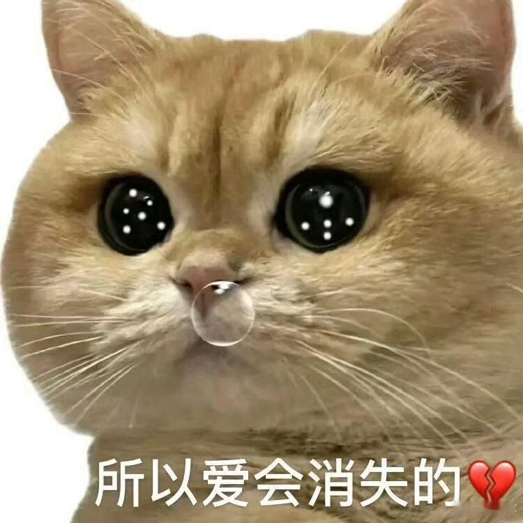 看见它就开始烦，白天我还可以忍着，但下班时一看到，真的有点受不了。只好先说几句“