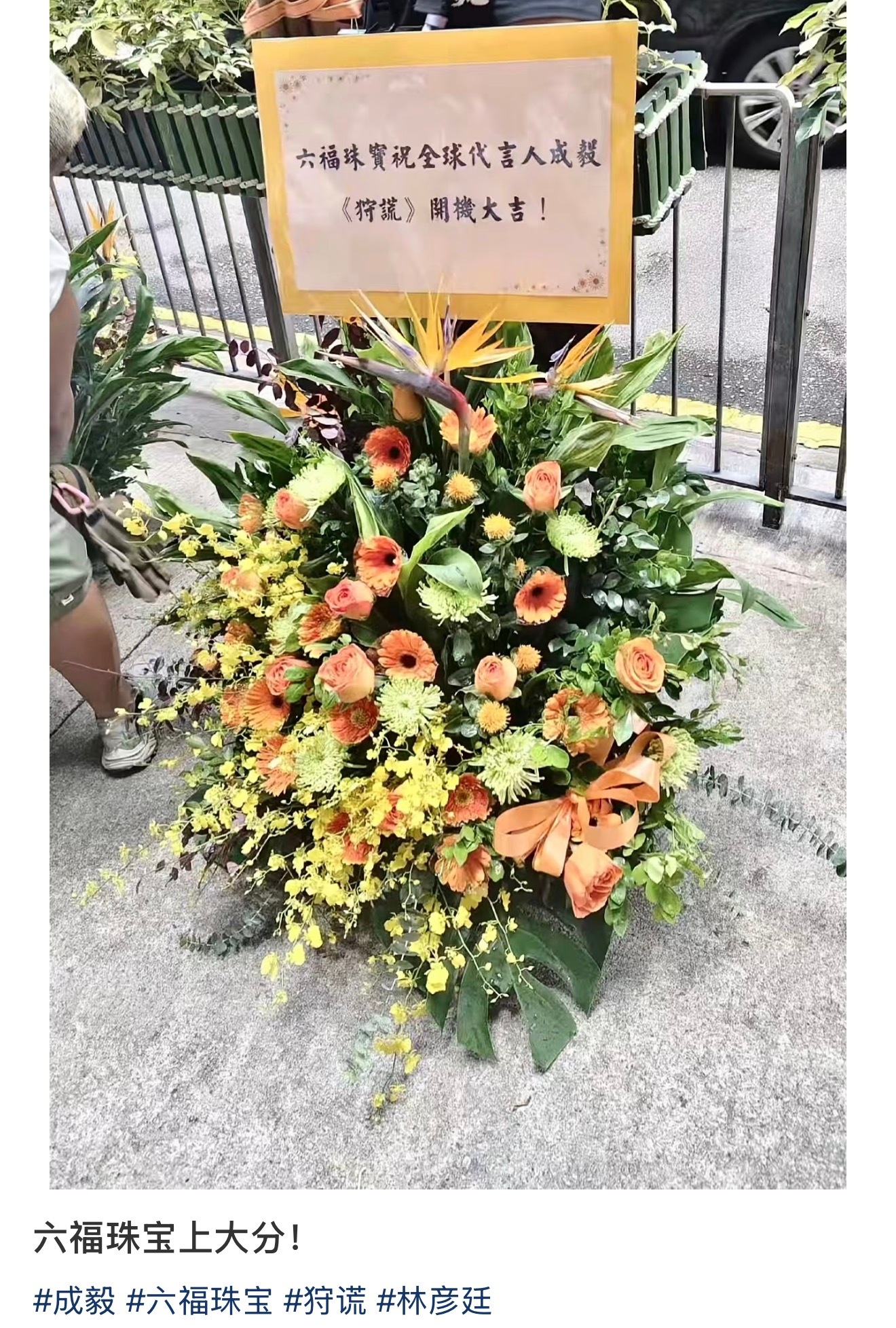 成毅   六福珠宝已经给代言人成毅送上开机花篮了，戴着眼镜穿着白衬衣➕制服的林彦
