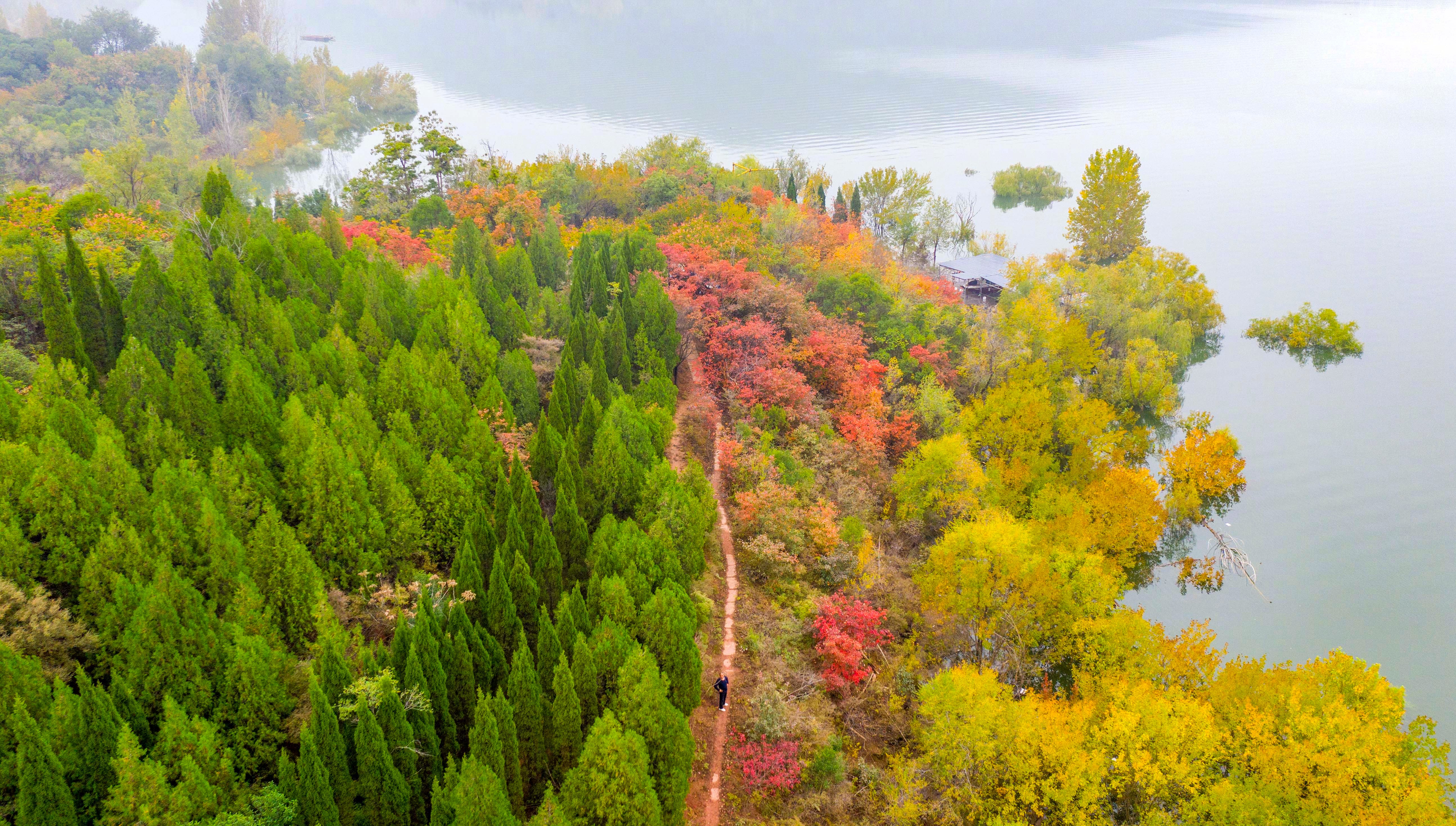 #新华社出图#【#五彩秋色壁纸#上新！】深秋时节，全国多地层林尽染、秋意浓厚、风