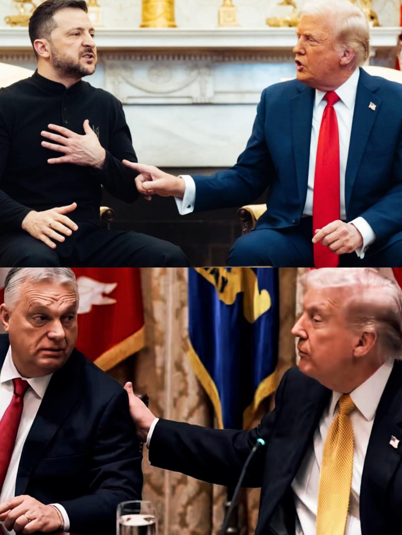 泽连斯基和欧尔班同样是跟特朗普交流，但待遇是不是不一样啊？
通过特朗普的手势和肢