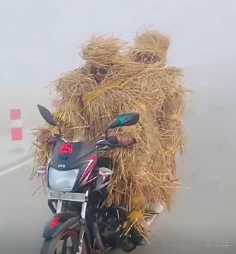 这稻草能起到什么作用吗[what]