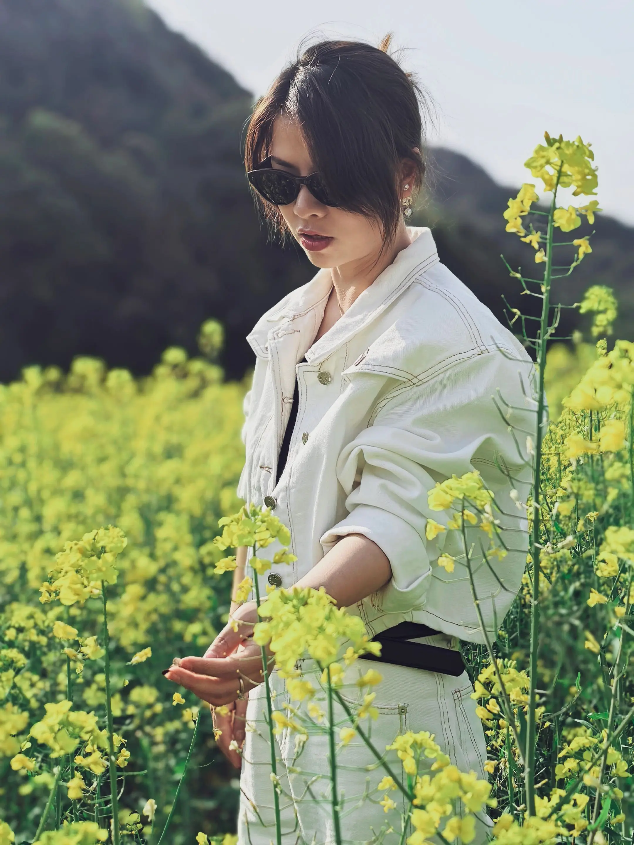 故事的小黄花 去田野  闻闻新鲜的油菜花田