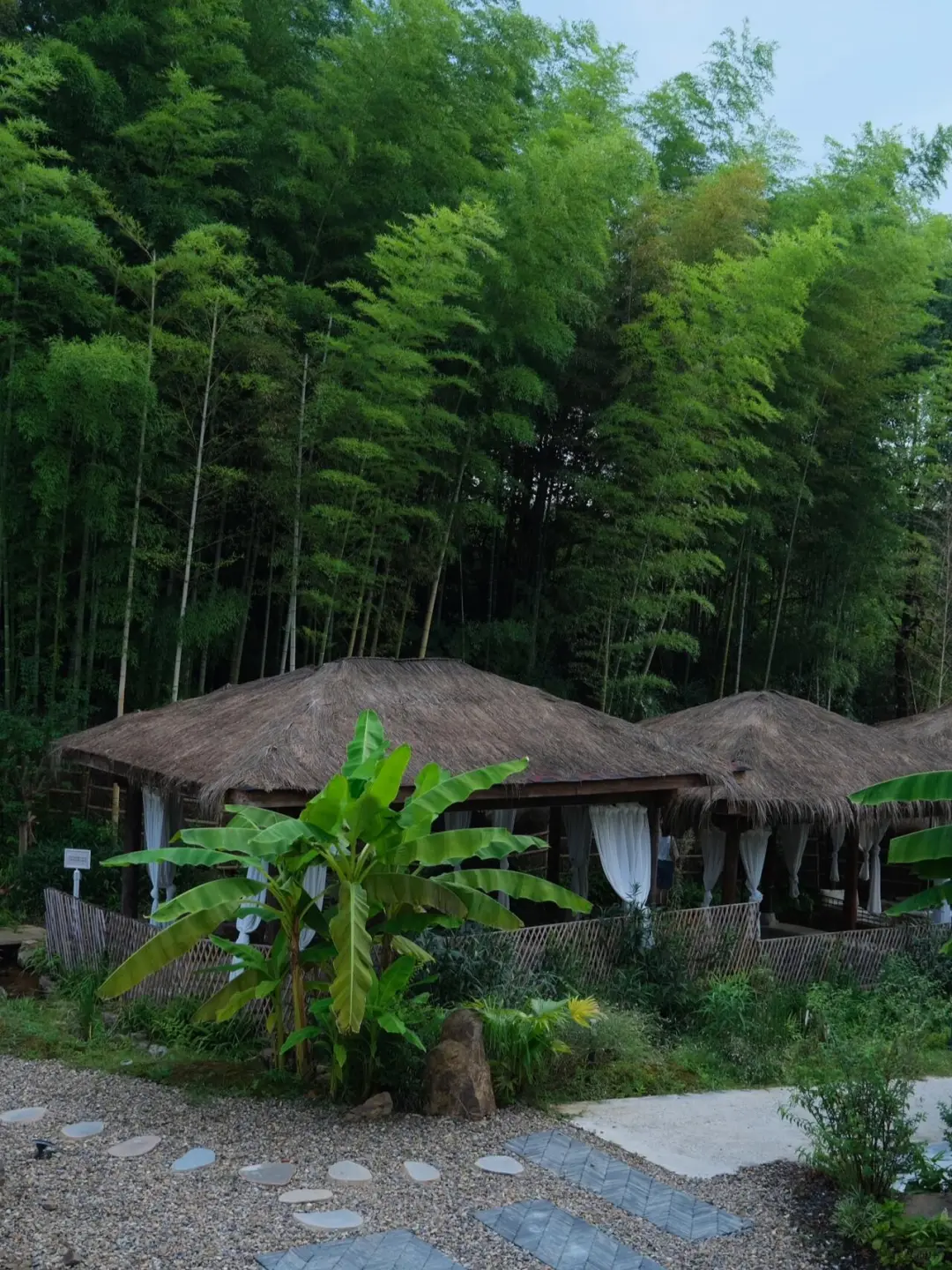 绿野仙踪 来到宫崎骏的世界💚