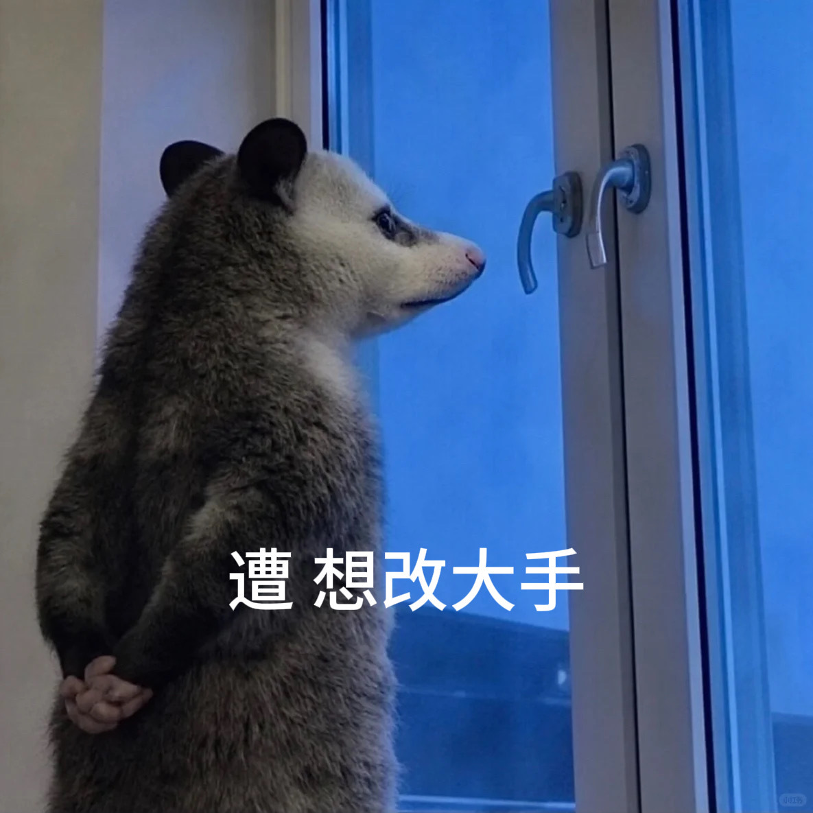 ✨𝙒𝙚𝘾𝙝𝙖𝙩| 高级无水印 | 可爱搞怪头像 .ᐟ.ᐟ  ｜权威头