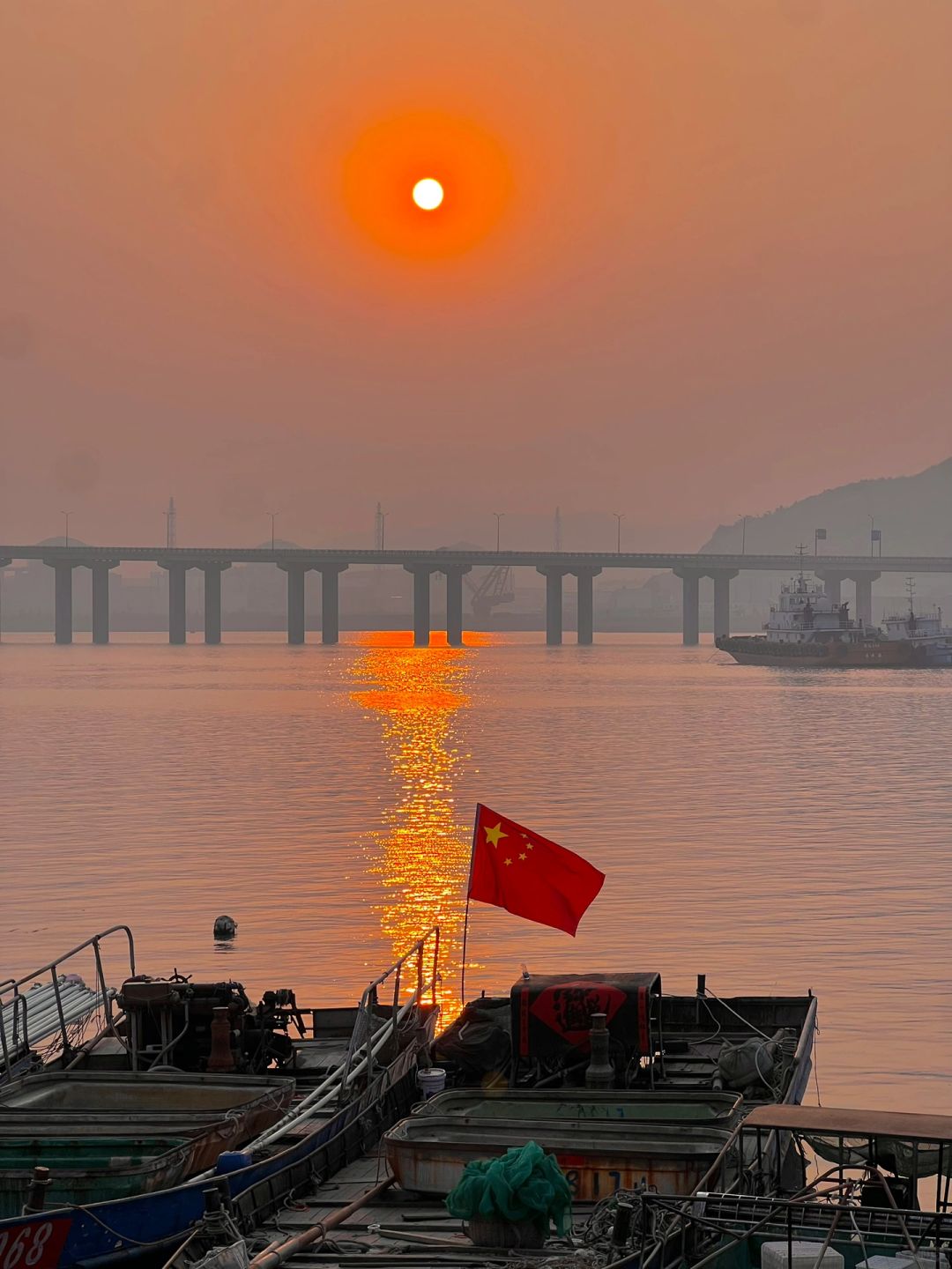 连云港📍看见一片橘子海