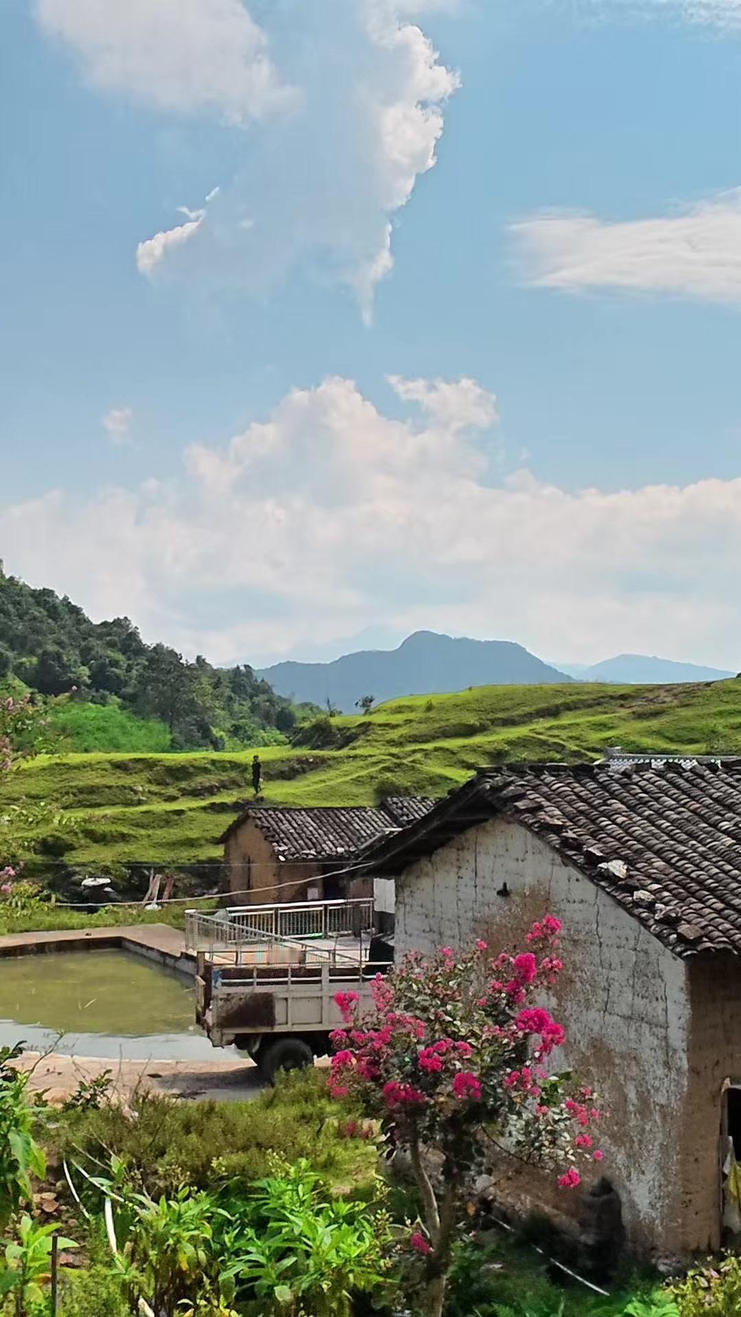 热闹的暑假如期画上句点，前几日还满是欢声笑语的小山村，渐渐回归了日常的宁静。风掠
