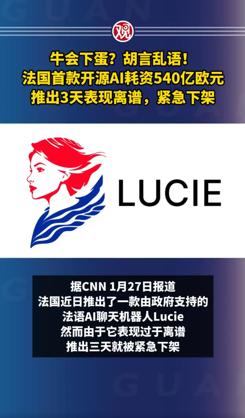 法国耗资540亿欧元AI推出3天后下架  法国研发的Ai，耗资本540亿欧元，大