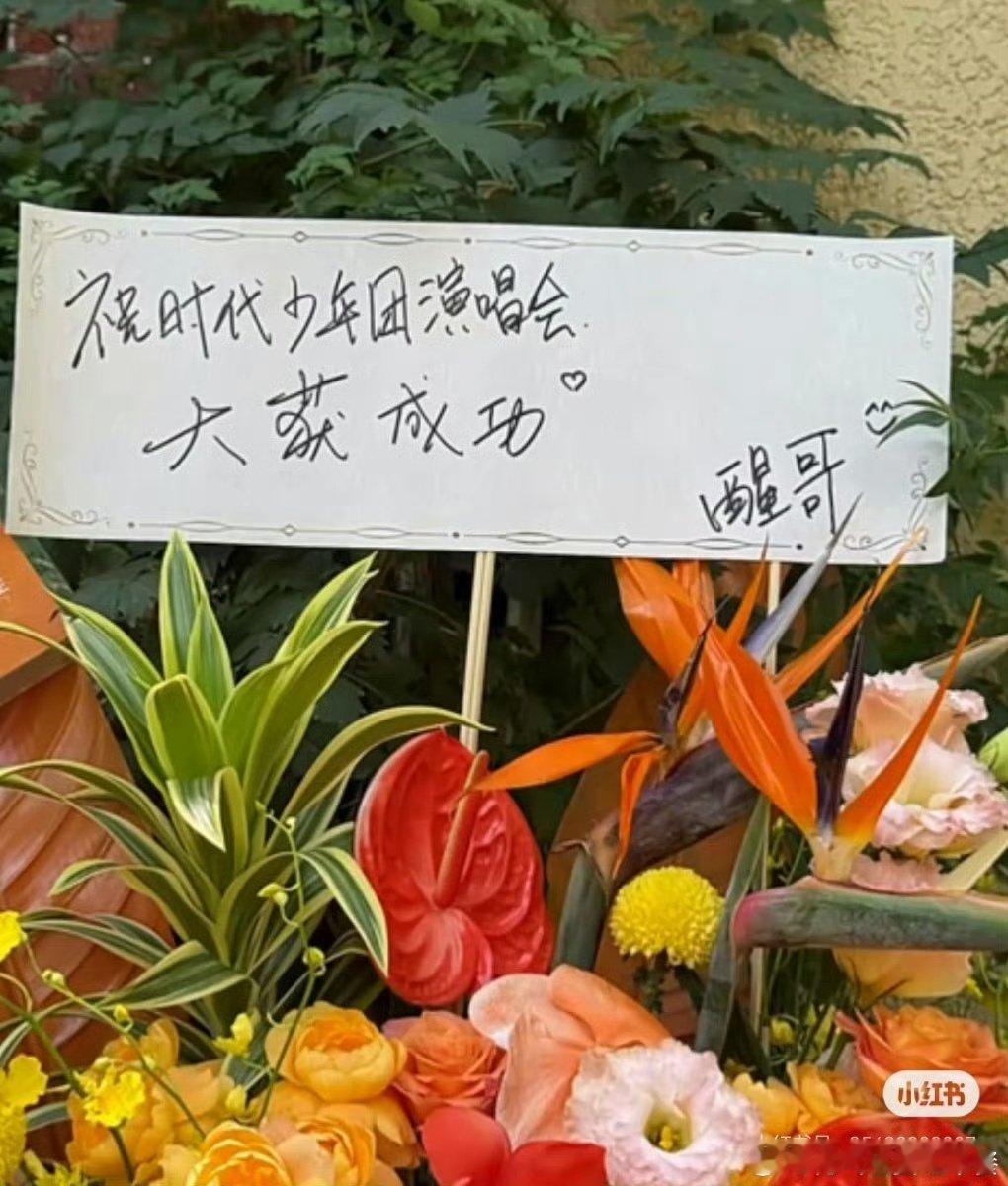 苏醒给时代少年团送花篮苏醒给时代少年团送花篮了 演出顺利呀 