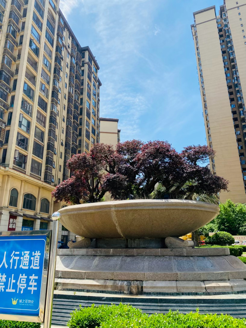 生活手记记录真实生活摄影摄影摄影  走进铜锣湾1号，最先撞入眼帘的，便是那座被巨