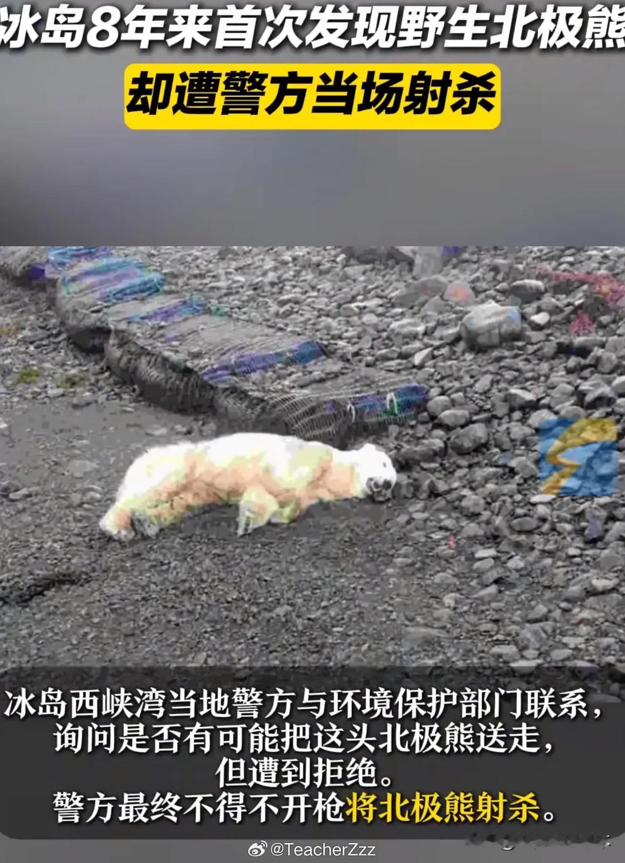 所以西方那些宣传他们爱护动物是假的喽！真正爱护野生动物的是我们。