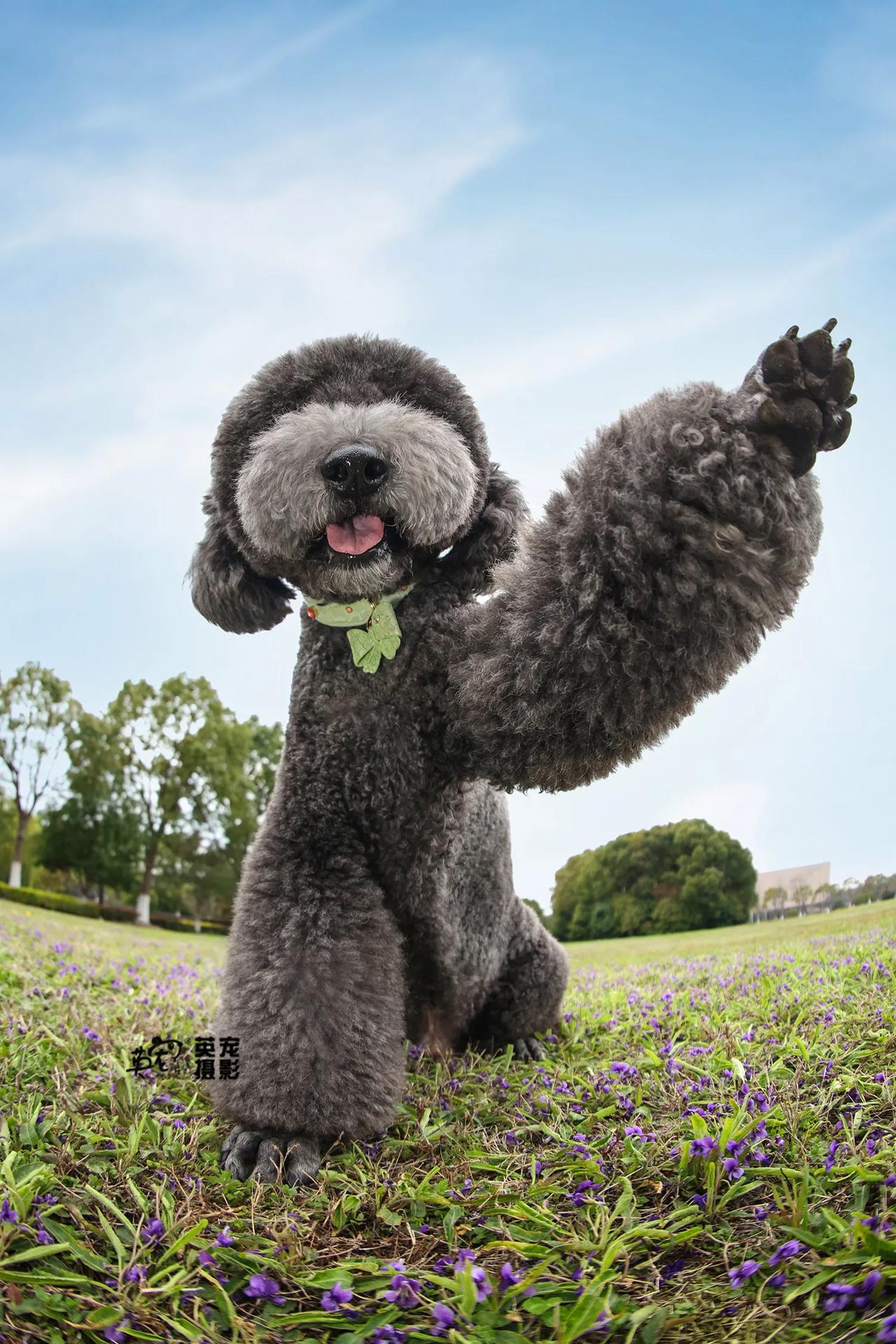 握手
来，握手🥳
【苏州拍摄】