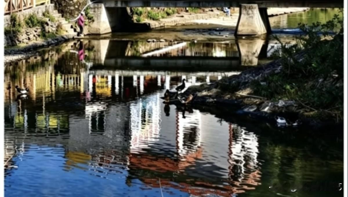 秋日生活打卡季石桥横跨清溪，水面如镜，倒映着岸边屋舍斑斓的色彩。野鸭悠然浮于碧波
