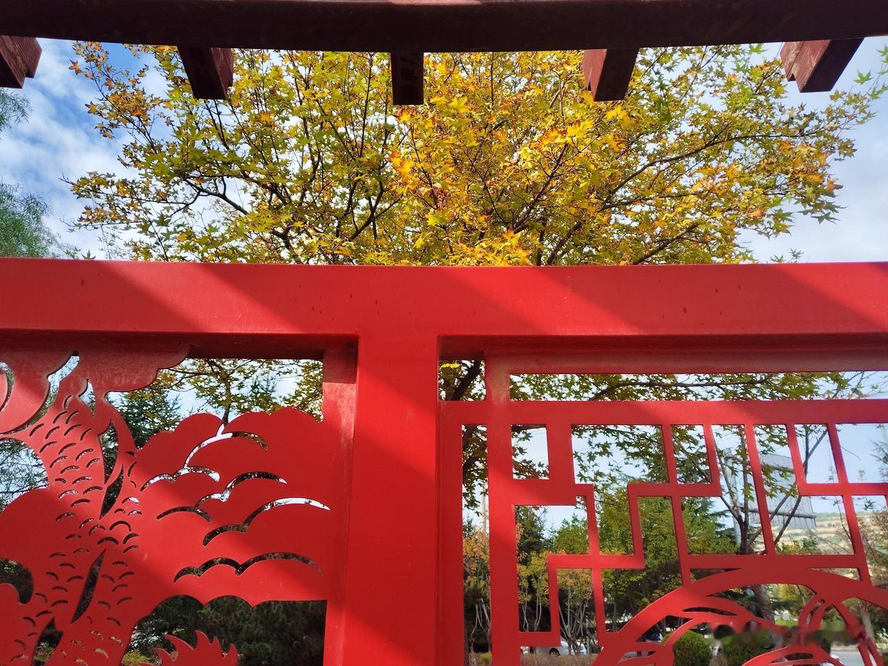 渭滨秋色已浓

未曾想，已经秋得很深了。步入李园，五角枫、槭树、银杏树，甚至日本