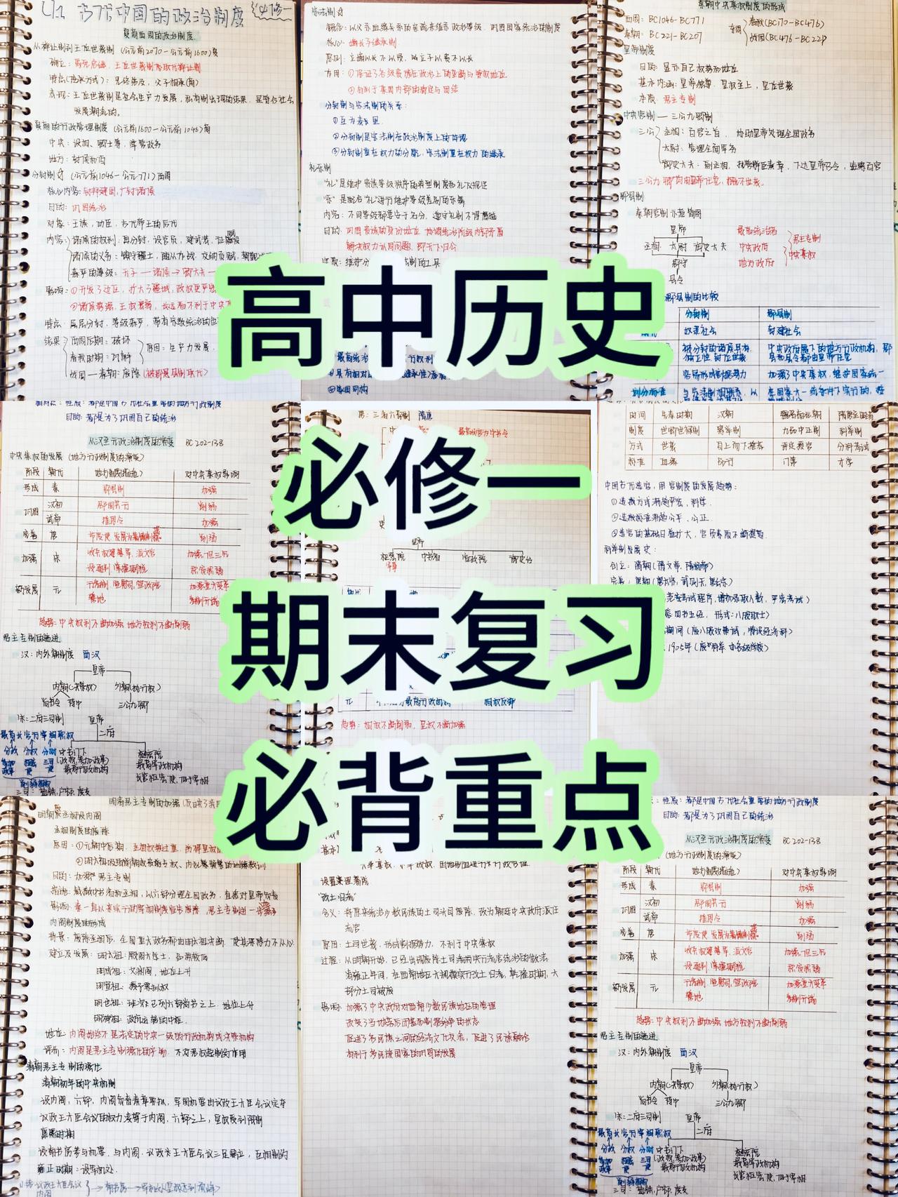 高一上学期历史，期末复习，各单元必背重要知识点总结，重点必考内容，都在这套手写笔