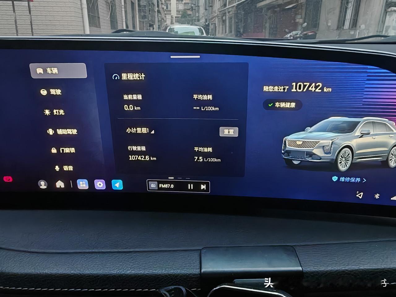 春日生活打卡季