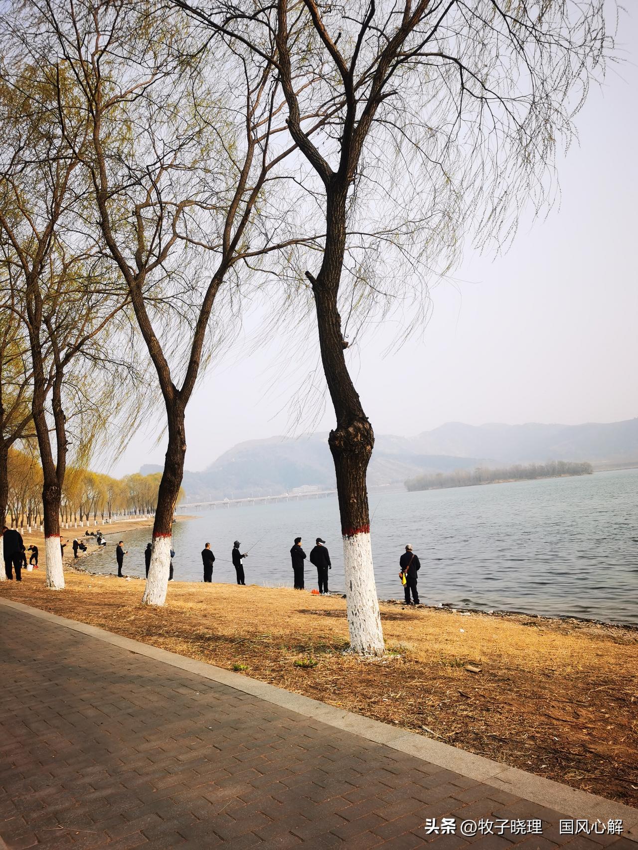 滦河岸旁柳丝扬，翠影婆娑映水长。
燕语呢喃穿绿帐，渔歌婉转绕津梁。
风摇细叶添诗