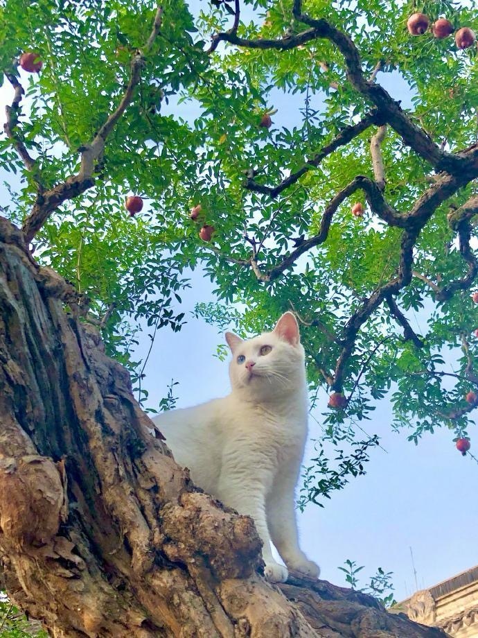 早，周末愉快！ ​​​