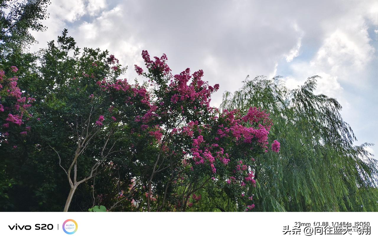 随手拍原创
无论是春夏秋冬
还是风霜雪月
始终如一
面向蓝天
迎送过往
目而不忘