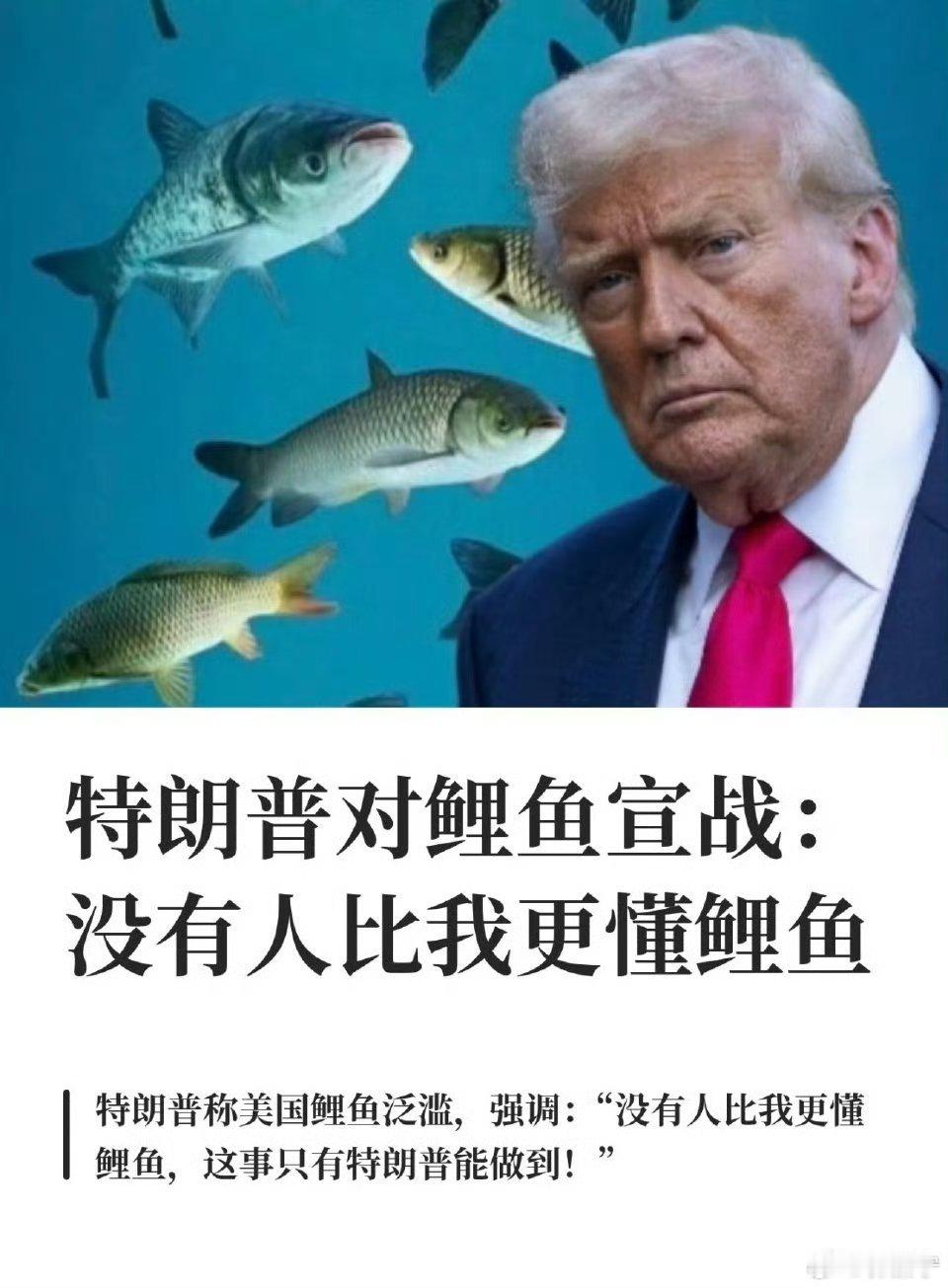 特朗普对鲤鱼宣战这事只有中国人能做到，特朗普你就算了吧！