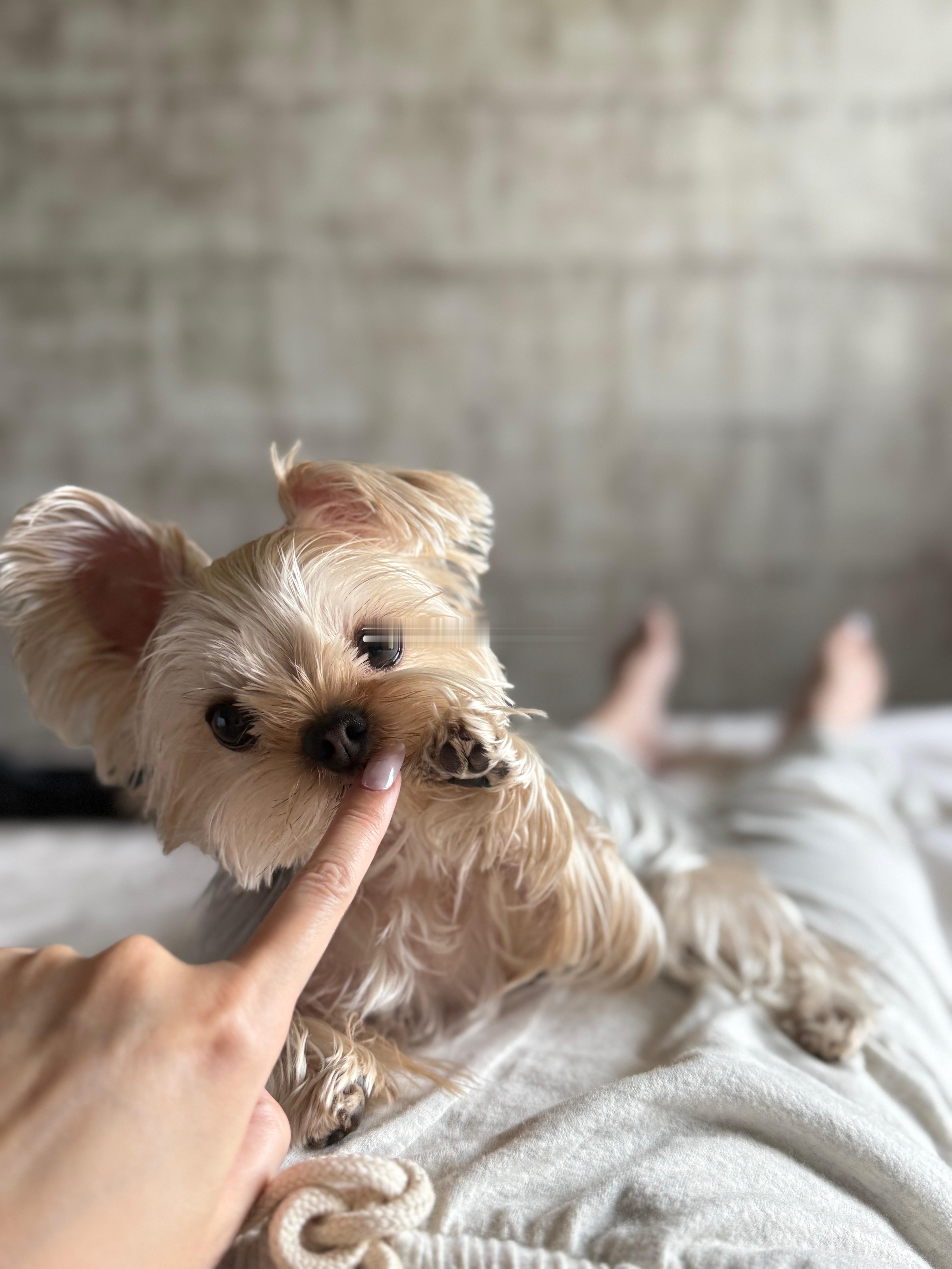 奶油油[亲亲] ​​​