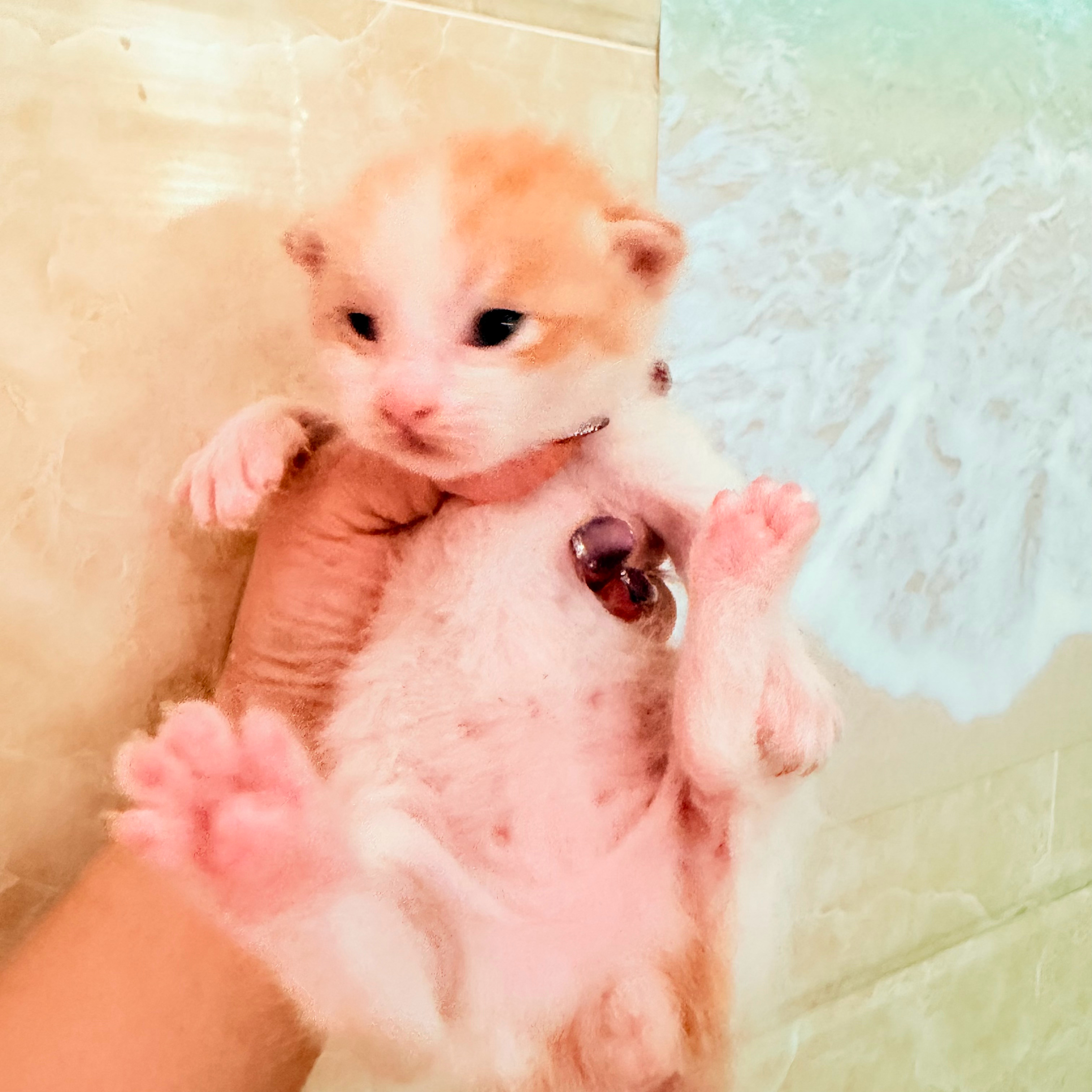 照顾家里的产妇买了牛肉 猪肝 鸡腿隔两天就要买这么多每天鸡蛋黄 羊奶粉 牛肉 猪