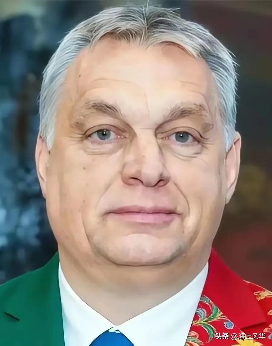 欧尔班这次直接掀桌子了！3月27日，匈牙利总理欧尔班扔出一枚重磅炸弹，说他们调查
