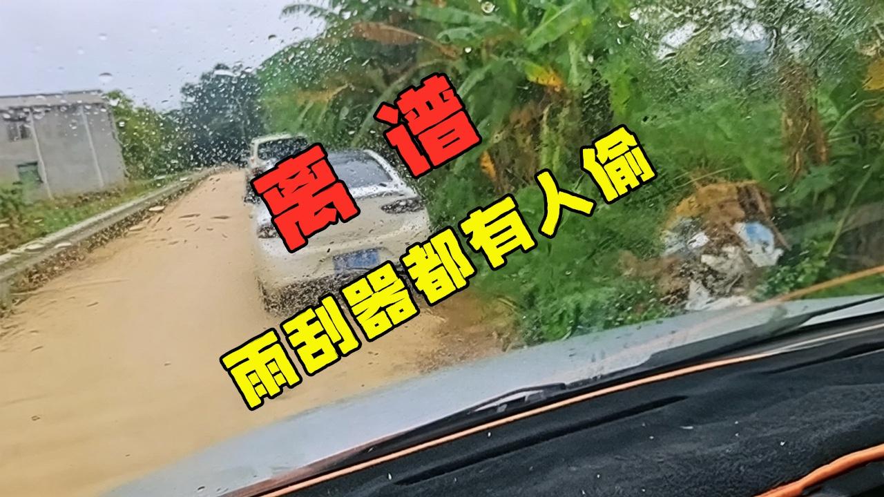 离谱！男子郊外停车雨刮器遇奇葩盗窃，下雨后当场破防

世上小偷千千万，专偷汽车雨