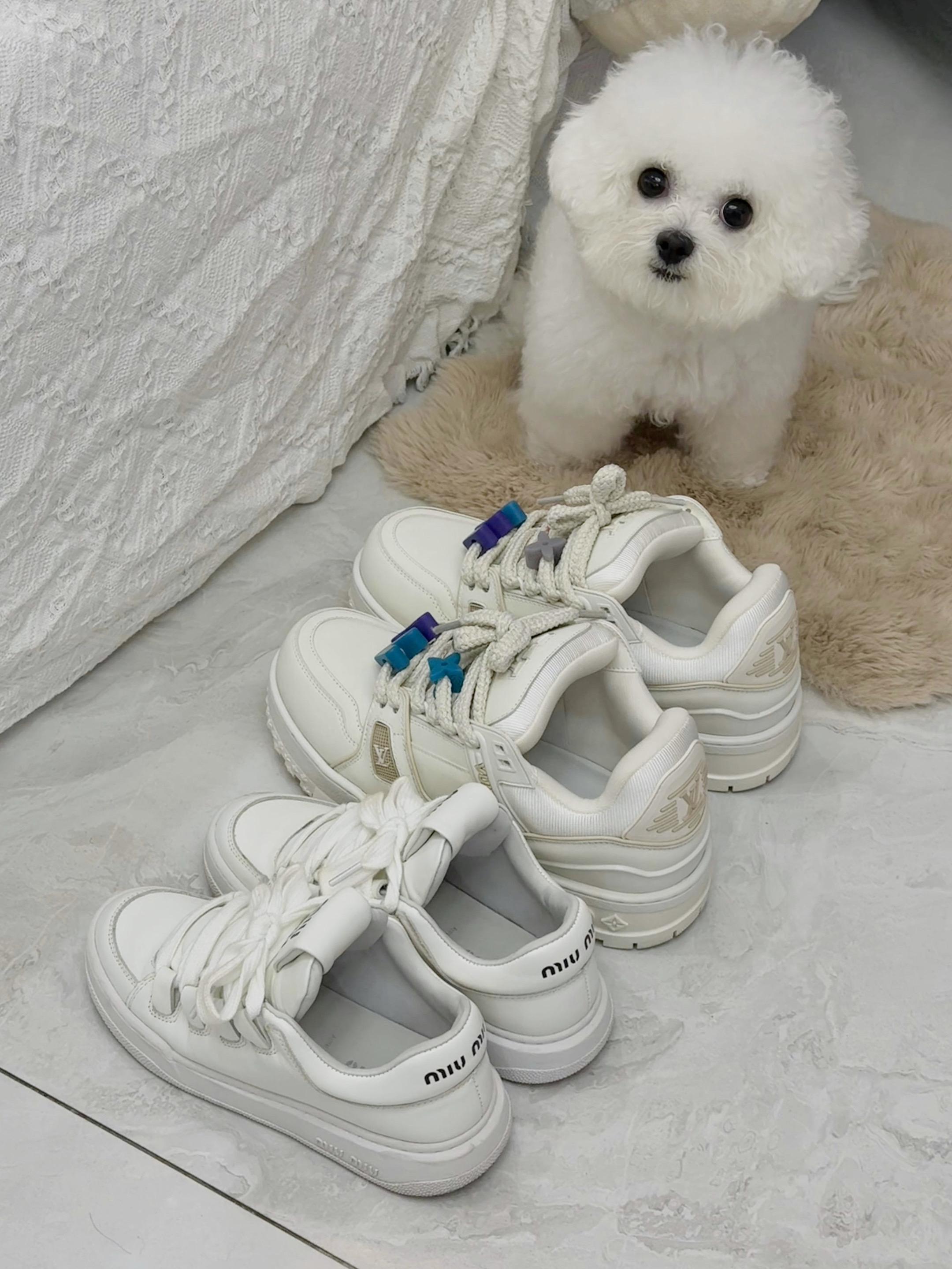 幸福就是我们的鞋子放在一起 一大一小  还有一只可爱的狗狗