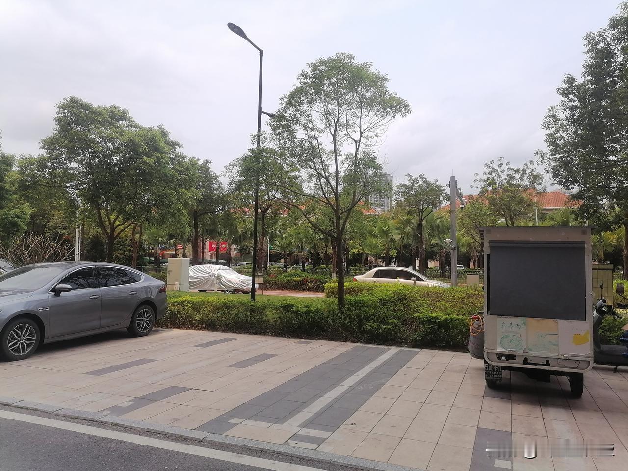 绿化不错的马路，小区隐身其中，人居环境相当优美！