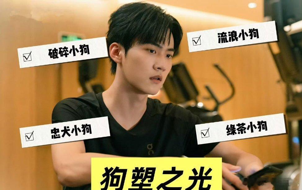 狙击蝴蝶 姐狗文学都看周柯宇和姐姐的互动了吗？被拽领带还乖乖的，既跳撒娇舞又唱歌