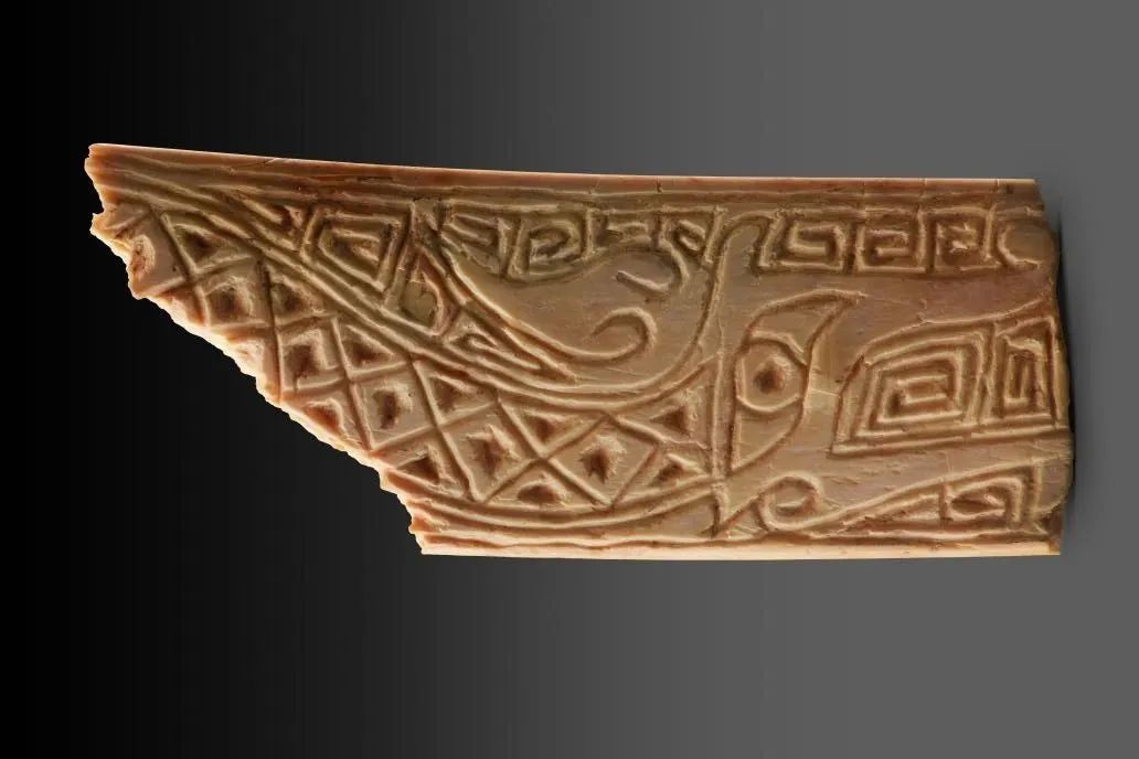 2022年陕西清涧寨沟遗址M1出土的商晚期 雕花骨 