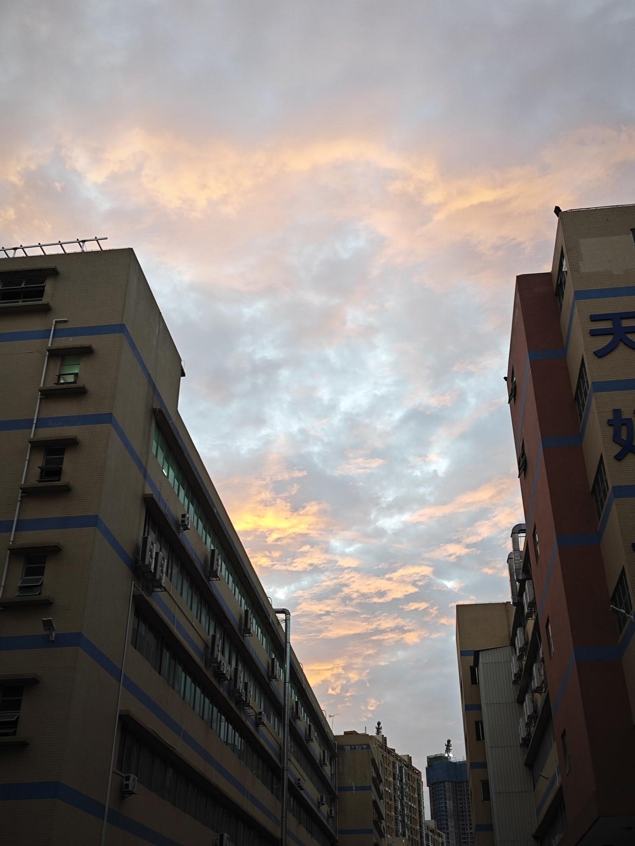 我认为，人生的意义并不是一个等待被“发现”的标准答案，而是一个需要你去“创造”的