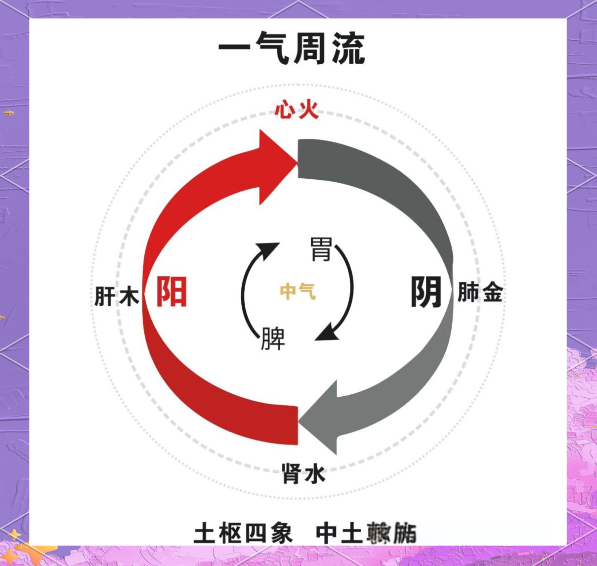 肾阴和肾阳，很多人都搞错了中医现代教材解释，肾主藏精，肾精化生肾气分两部分。肾气