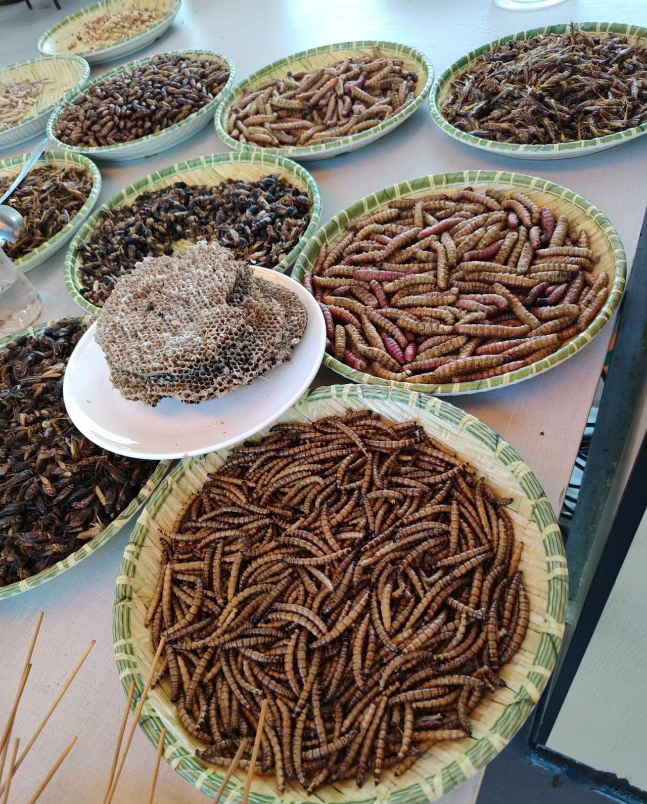 我敢拍着胸脯说，这些东西除了云南人，其他地方的人根本不敢吃。

昆虫宴：蜂蛹、竹