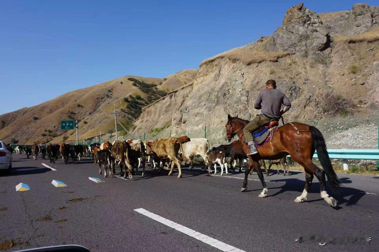 有十几位来自不同地区的苦行僧在北美徒步跋涉，以此传递着非常不一样的文化与精神魅力