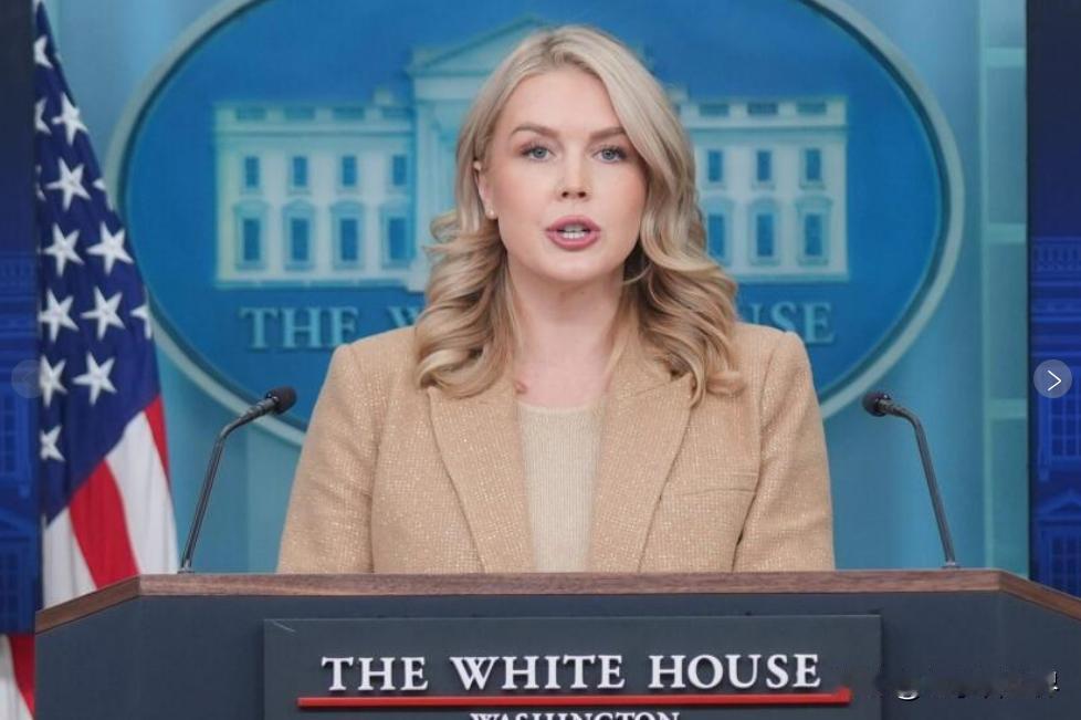 【白宫发言人：现在谈论委内瑞拉举行总统选举还为时过早】
华盛顿时间2026年1月