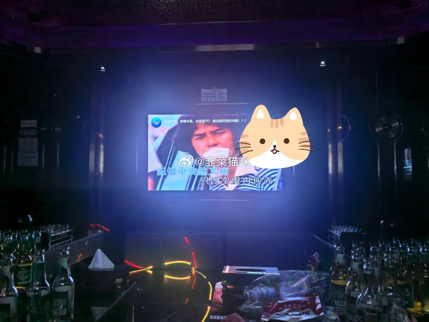 冒个泡