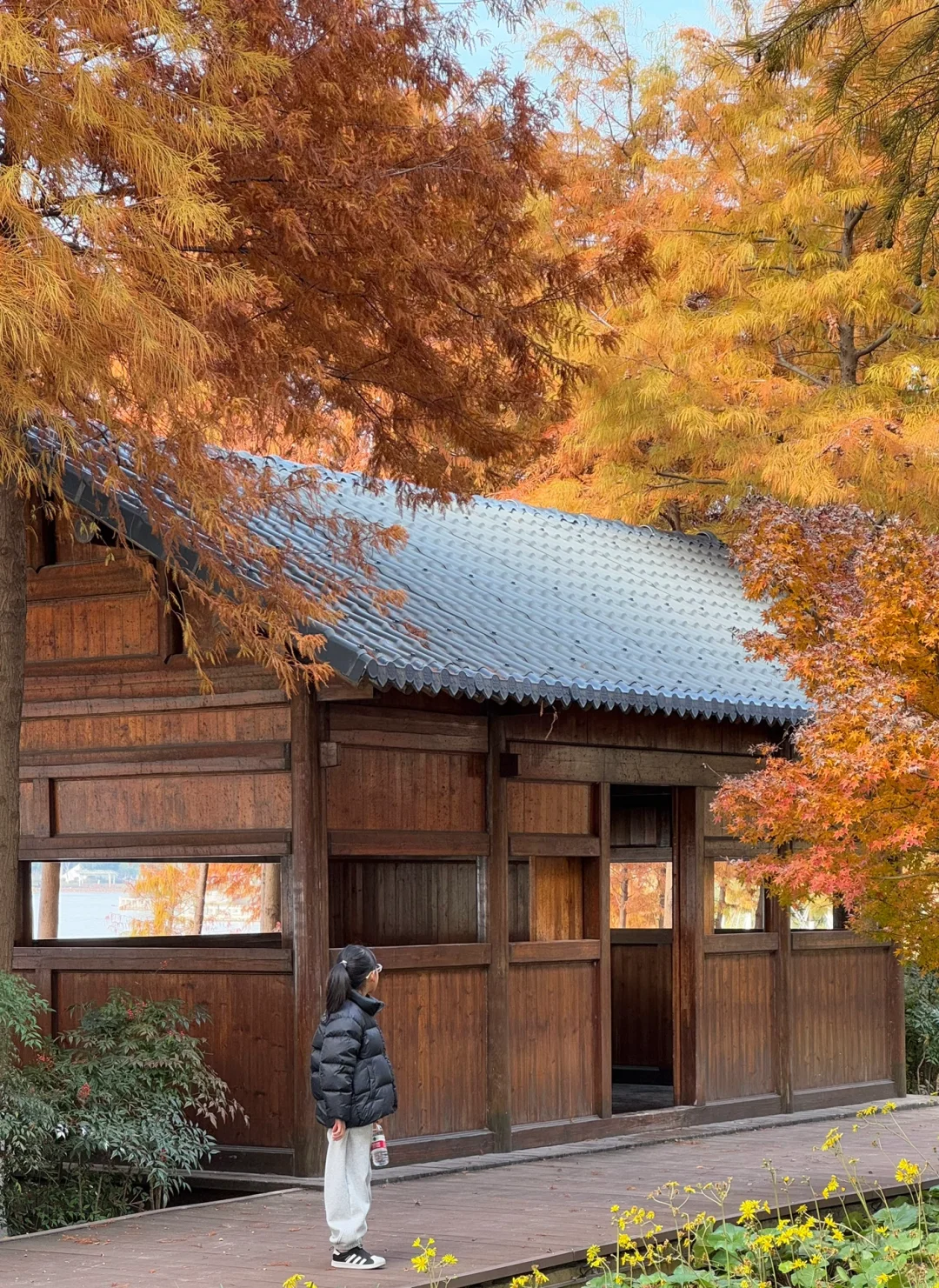 在乐清｜觅得一处清和公园里的冬日小木屋🍂