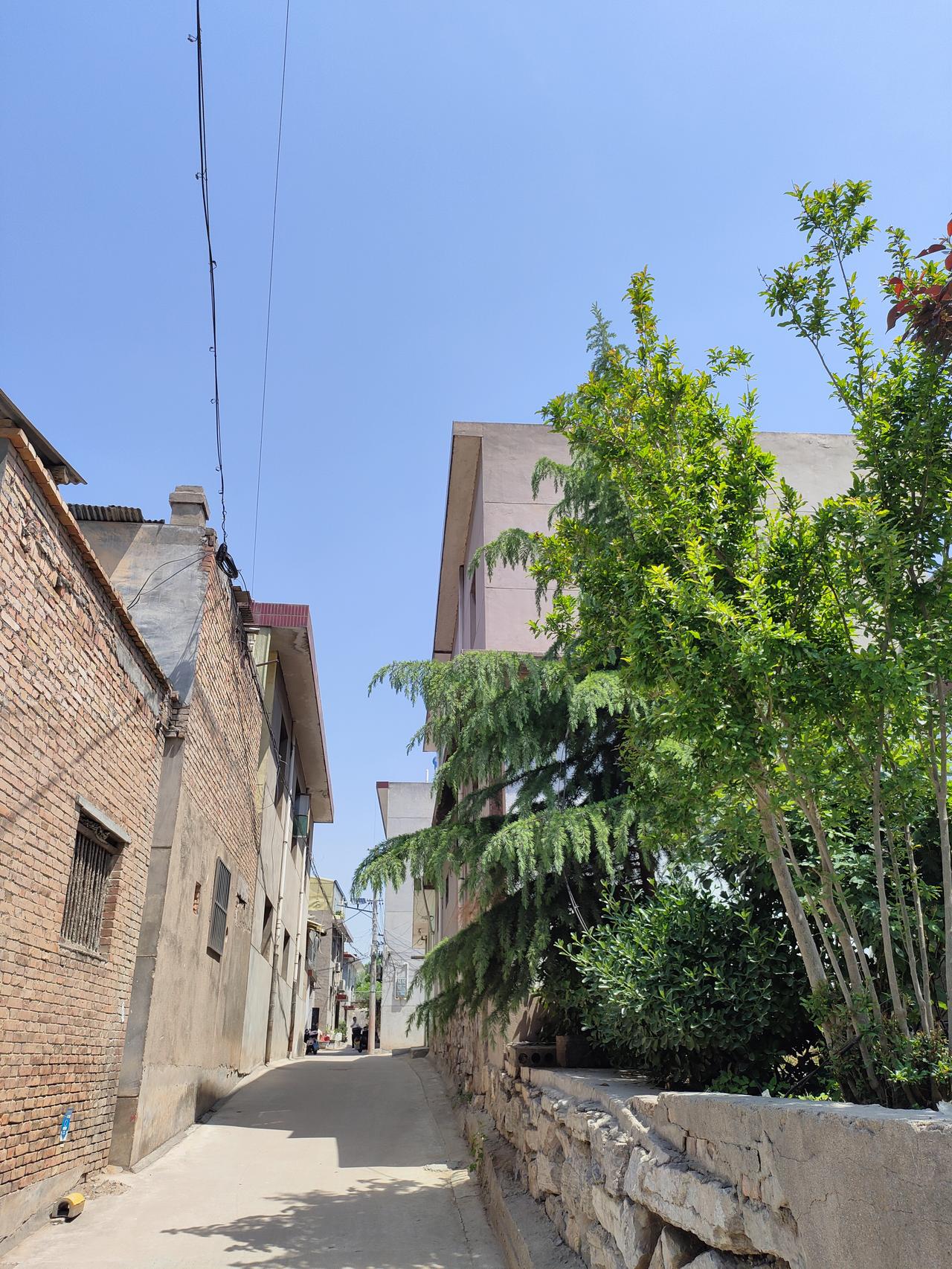 一方小院，一缕清风，乡间小巷藏着温柔烟火。蓝天澄澈，草木清幽，日子简单又安宁，慢