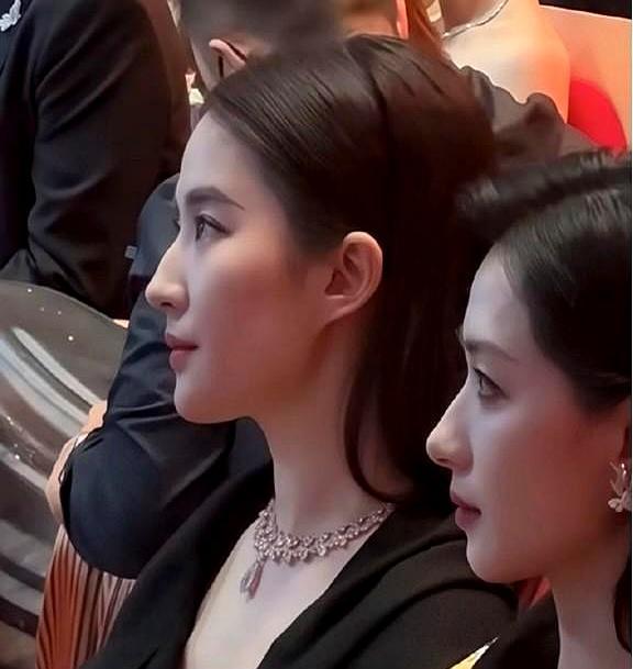 同框那天，万茜侧脸像刀切出来，鼻梁一挺，直接把镜头劈成两半。刘亦菲一转头，灯光没