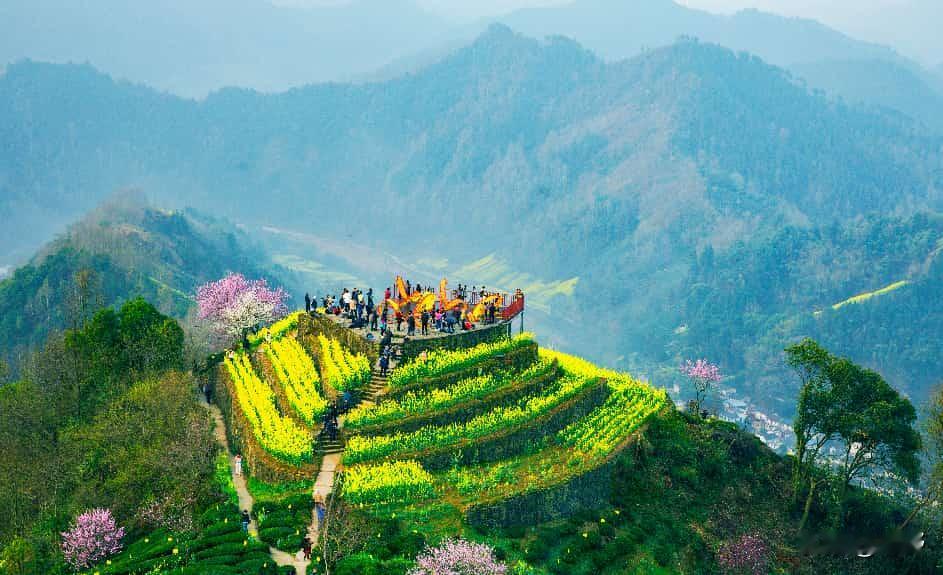 分享山地美景春天
