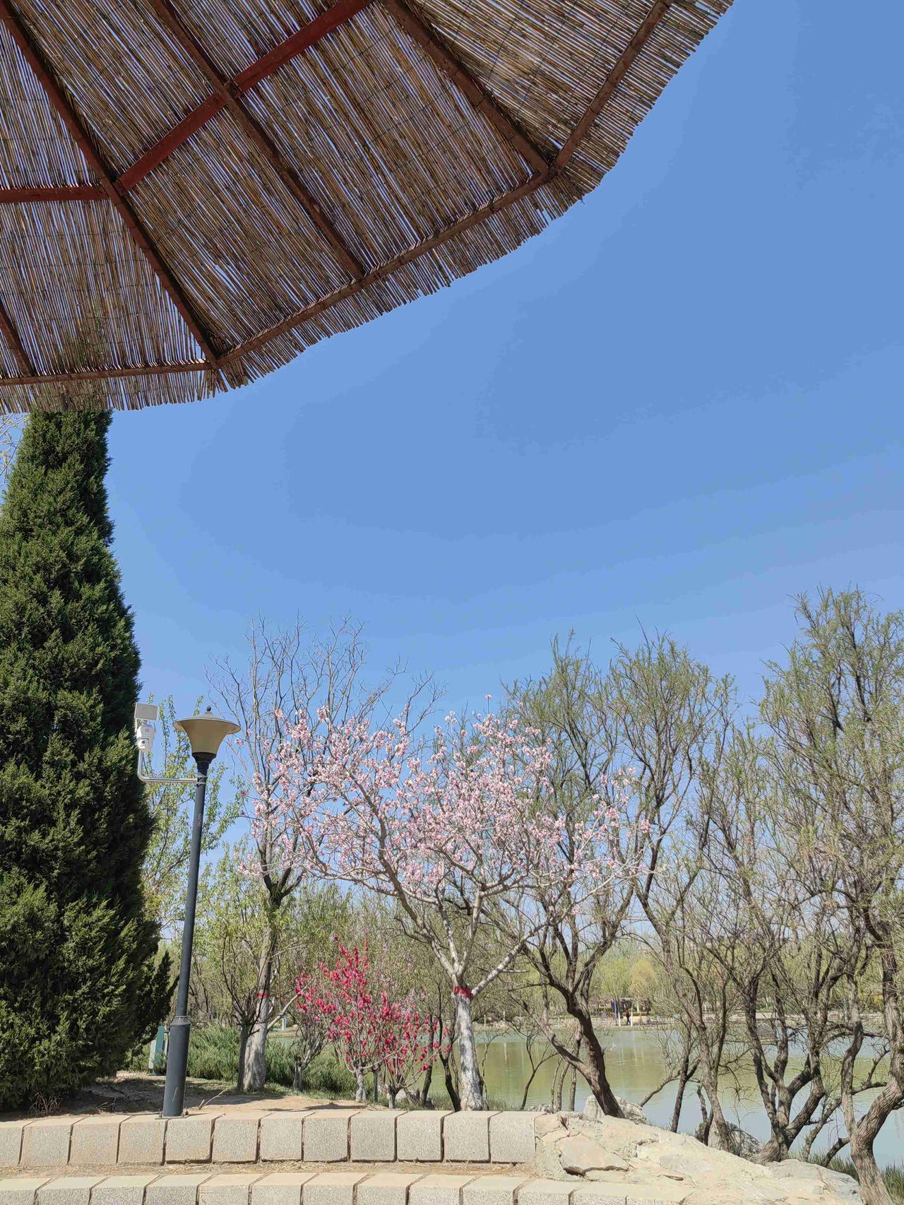 我的今日状态：😁轻松愉快
我这里的天气：☀️晴天