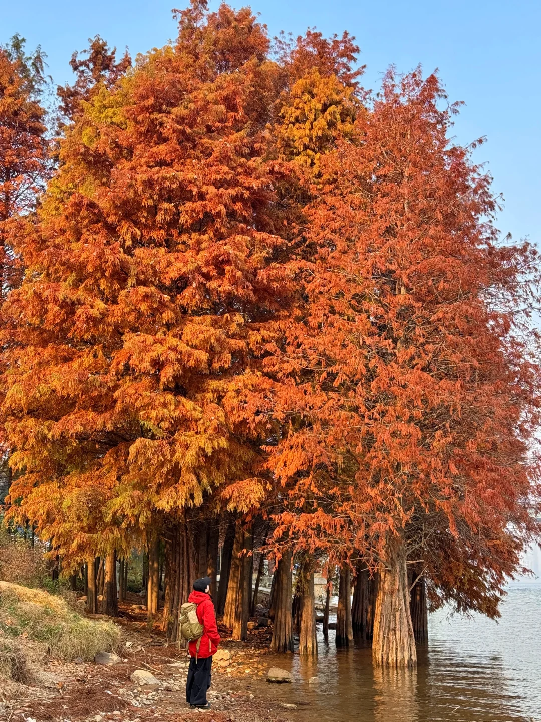 我的目的就是漫无目的