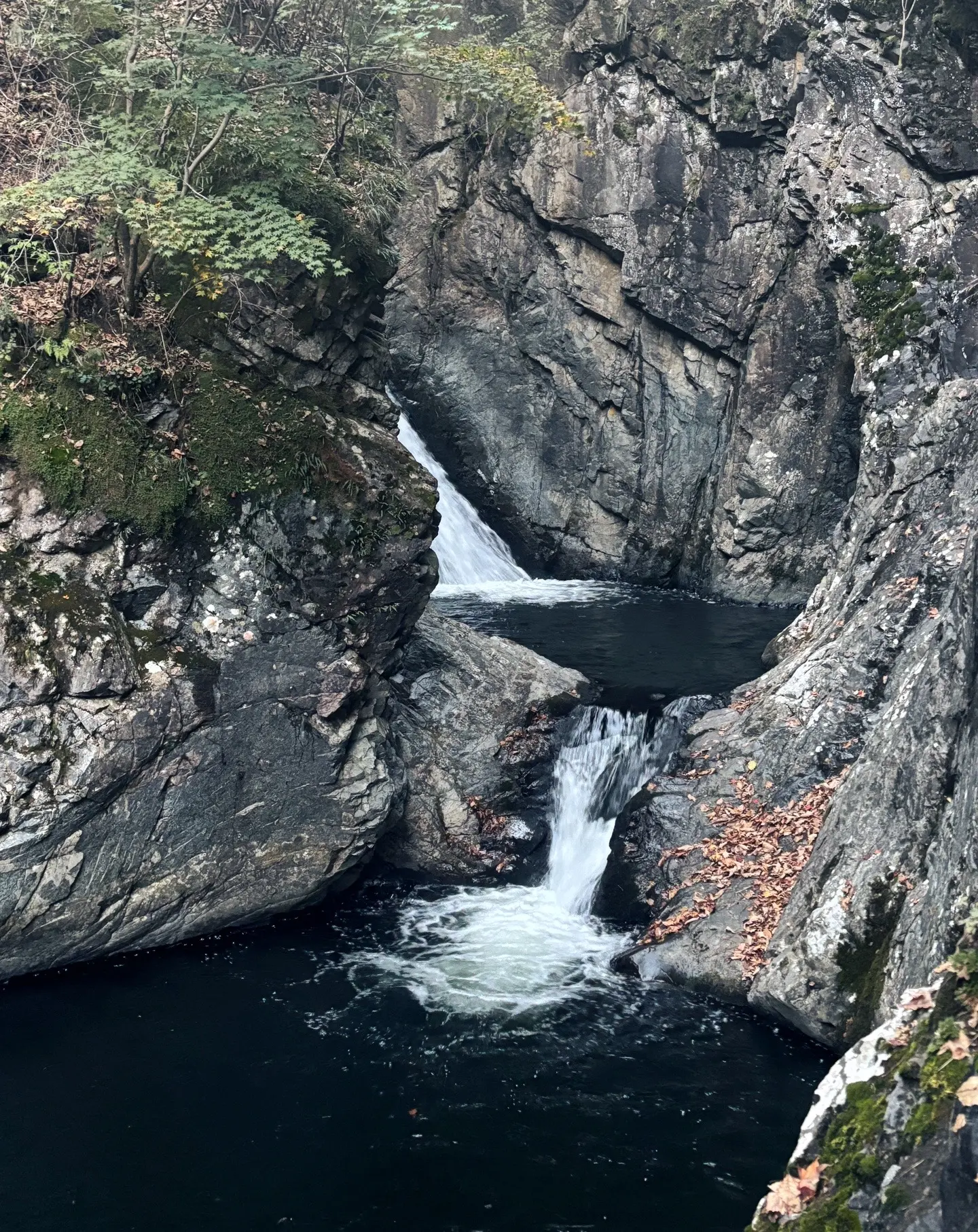 向上的生命比皮囊更有杀伤力