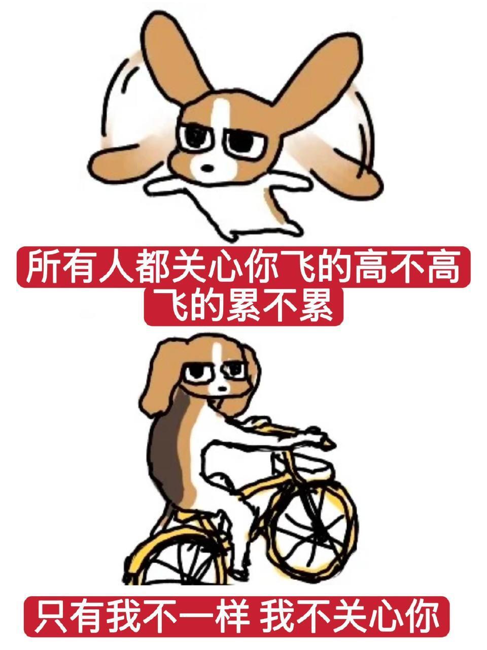 小比梗图｜多栋暹罗厘普[超话] ​​​