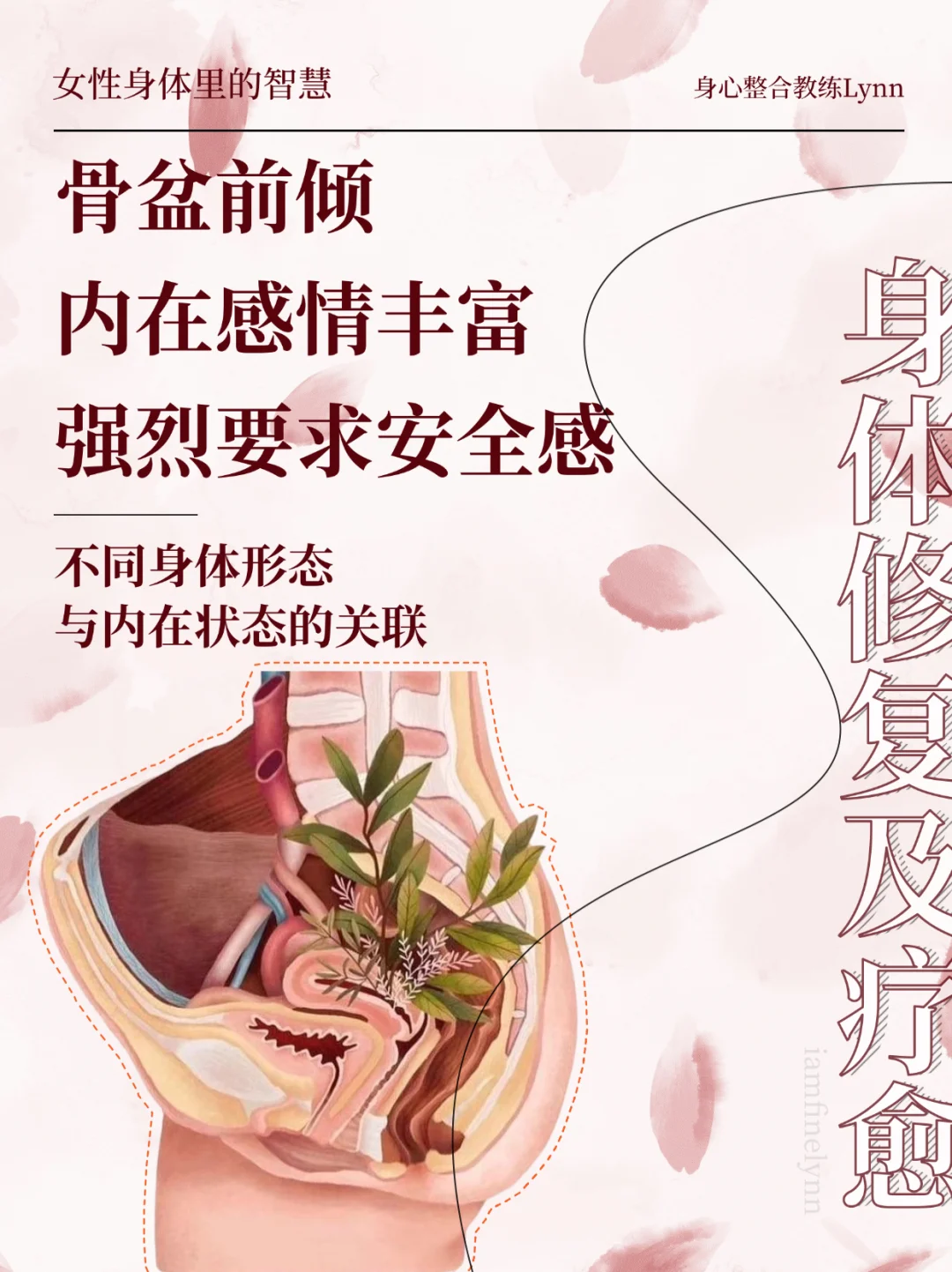 骨盆前倾与性张力