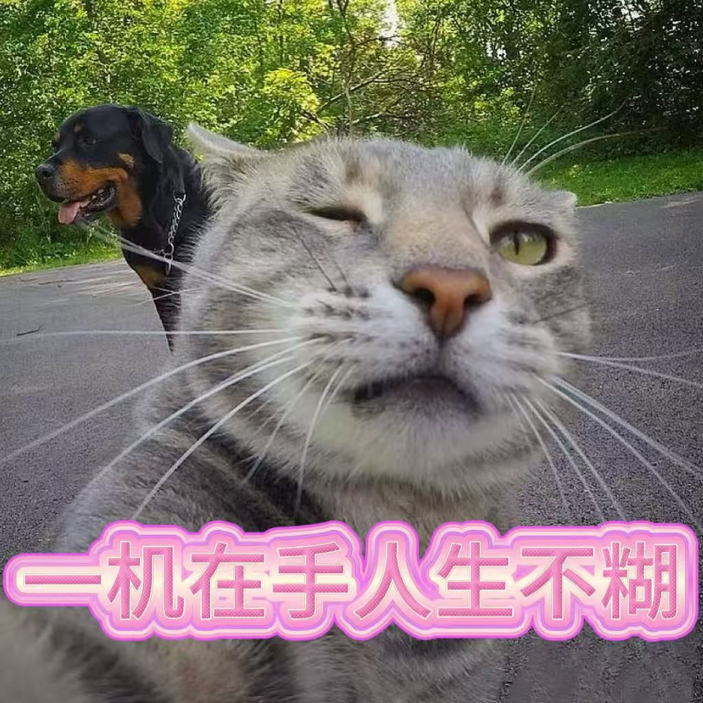 本人宣布：这是年度最“宠”女生的功能。 不需要懂光圈，不需要懂快门速度。 看到好